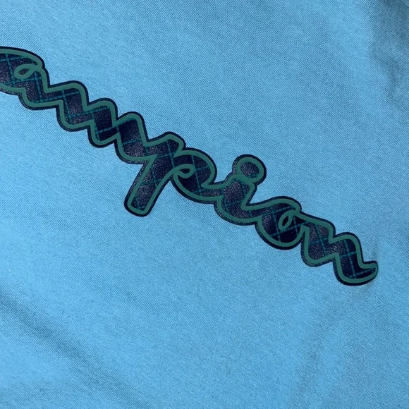 Lot of 2 CHAMPION T-SHIRTS🏆One Black & One Soft Green⭐️Almost LIKE NEW! Mens Lg - Picture 10 of 12